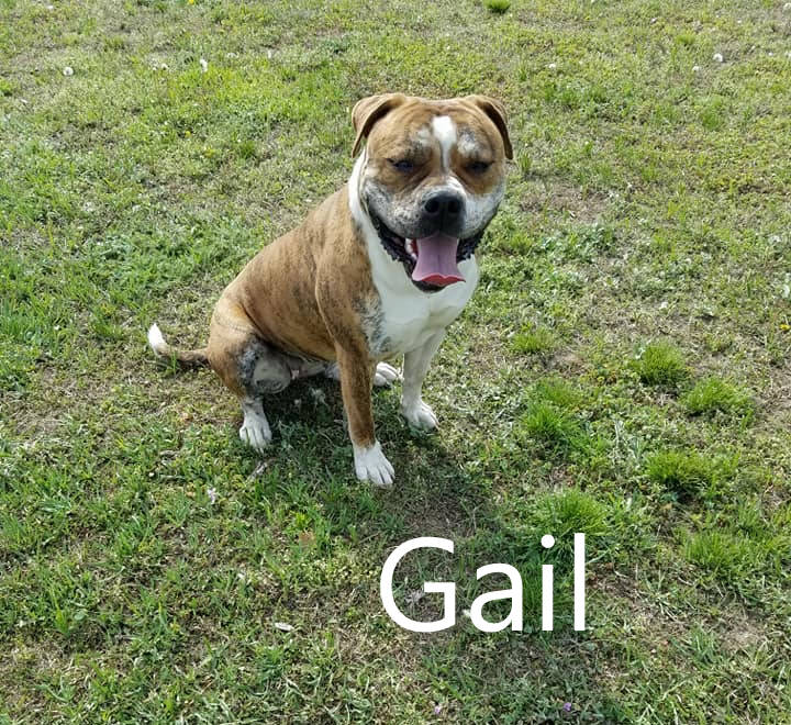 Bully to You's Gail