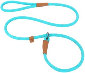 Slip Lead Dog Leash