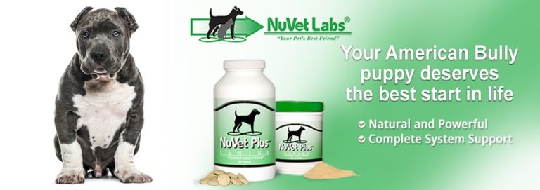 Best supplements for american bully best sale